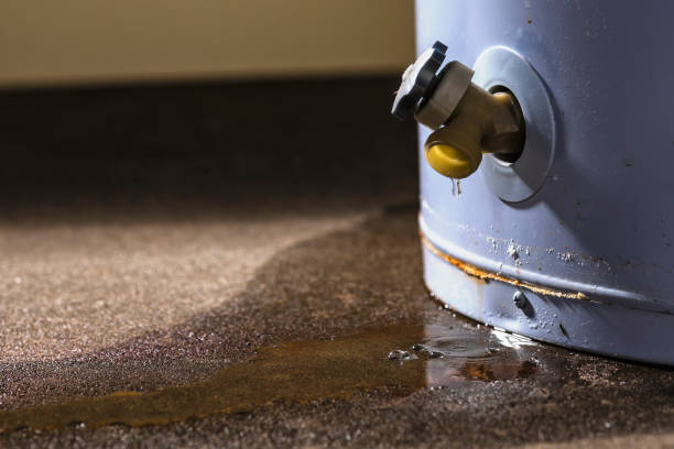 Best Flood damage cleanup  in Port Morris, NJ
