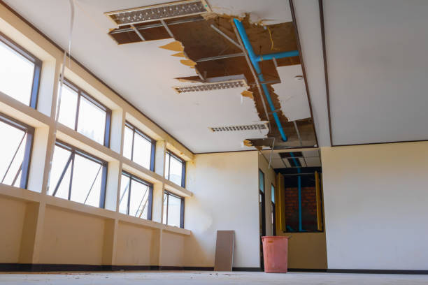 Best Mold removal after water damage  in Port Morris, NJ