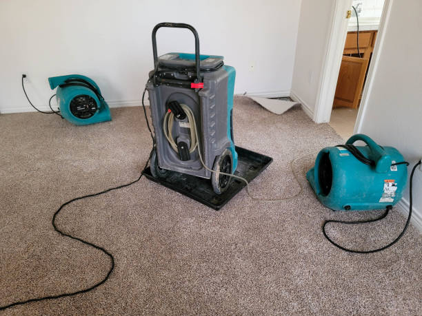 Best Ceiling water damage repair  in Port Morris, NJ